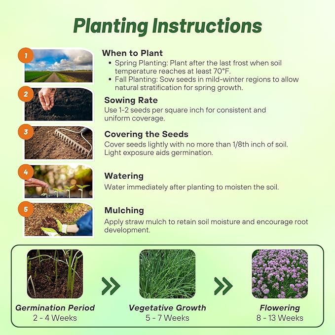 Outsidepride 1 oz. Perennial Chives Herb Garden Seeds for Microgreens, Sprouts, & Cooking