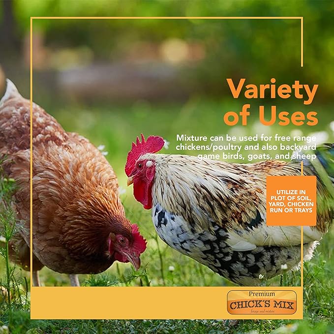 Barenbrug Premium Free Range Chicks Mix Forage Seed Mixture, 1 lb, One Pack