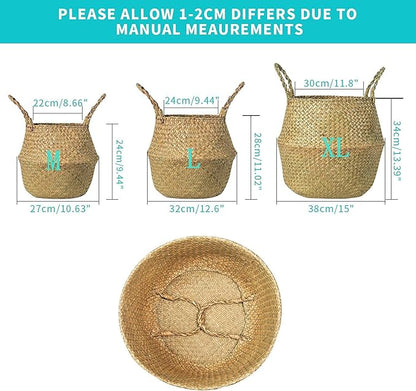 Seagrass Belly Basket, Set of 2 Woven Plant Pot Holder Handmade Home Decor for Storage Plants Picnic Grocery Large(12.6 x 11.02 inch)