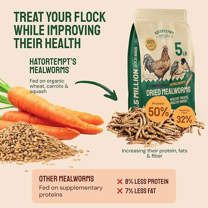 Hatortempt Dried Mealworms - Non-GMO & Organic - High-Protein Mealworms for Wild Bird Food, Ducks & Chickens (5lb)