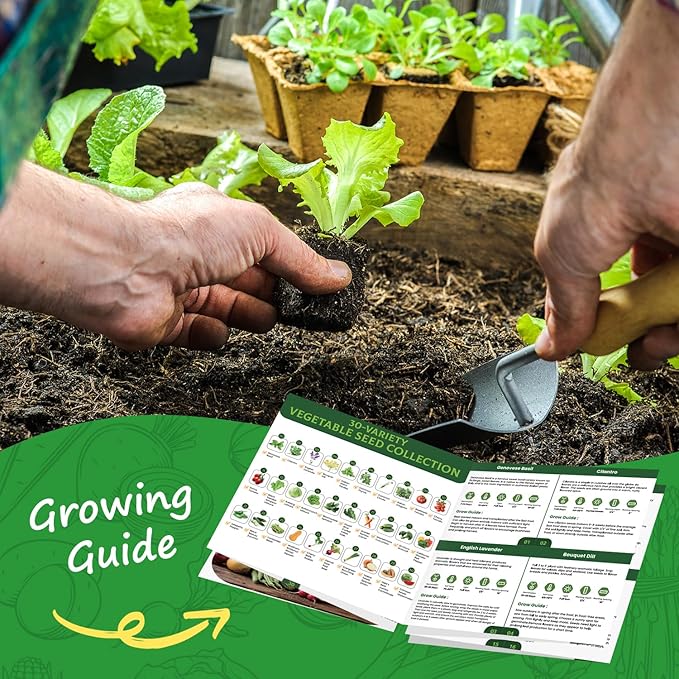 30 Heirloom Vegetable Seeds for Planting, 12,000+ Garden Seeds - Non-GMO Vegetable, Herb, Fruit Seeds - Survival Seed Vault with Tomato, Basil, Lettuce, Bean, Pepper, Squash and More
