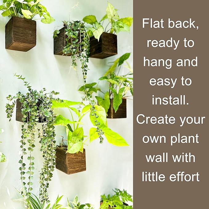 LaLaGreen Wood Planter Boxes for Indoor Plants (4x4 Inch, 6 Pack) Small Square Wall Mounted Planters Flower Pot, Herb Wooden Box Hanging Plant Holder Outdoor Balcony Vertical Garden Modern Home Decor