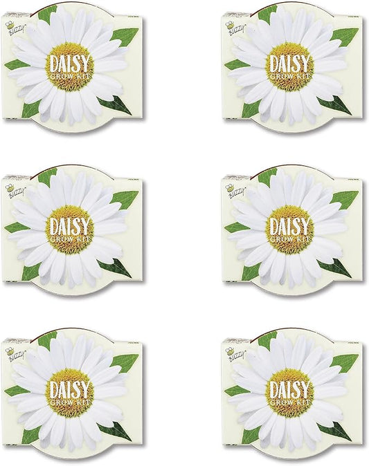 BUZZY Seeds Daisy Daydream Collection Mini Terracotta Grow Pots 6-Pack, All-in-One Starter Kit with Seed Packs and Growing Medium, Wedding Favors, Gardening Gifts, Garden Parties