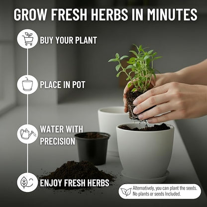 Indoor Garden Kit - Plant Pots with Drainage, Watering Can & Tools - Ideal Windowsill Planter Set - Modern Home & Kitchen Decor Gift - White