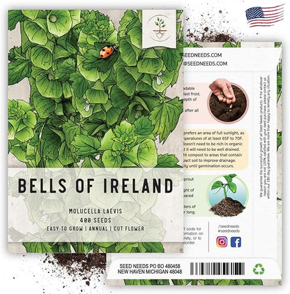 Seed Needs, Bells of Ireland Seeds - 400 Heirloom Seeds for Planting Molucella laevis - Green Bell Shaped Flowers, Perfect as a Cut Flower, Attracts Pollinators (2 Packs)