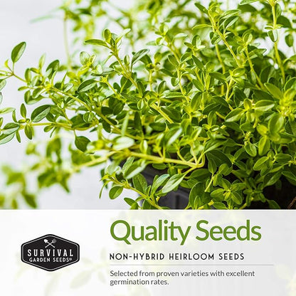 Survival Garden Seeds - Italian Herb Collection Seed Vault - Basil, Oregano, Thyme, Sage, Flat Leaf Parsley - Non-GMO Heirloom Varieties of Culinary & Medicinal Herbs for Any Garden or Homestead