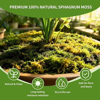 Compressed Sphagnum Moss for Plants & Reptiles (1pc)– Dried Peat Moss, Moisture-Retentive for Indoor Plants, Orchids, Terrariums, Reptile Bedding (100% Natural, Reptile-Safe
