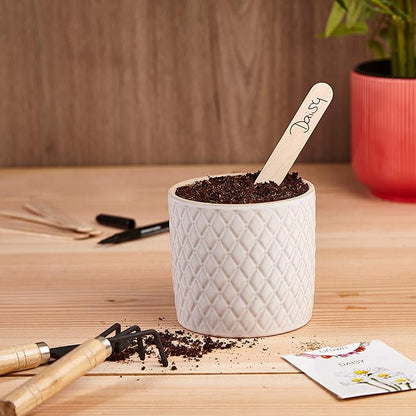 Plant Markers: 50 Wooden Plant Name Tags and Marker Pen – Plant Labels Wooden, Plant Tags, Seedling Labels – Gardening Name Tags, Garden Sign OwnGrown