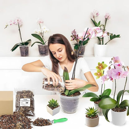 Orchid Bark Potting Mix 3QT - Orchid Soil Mix with Pine Bark, Perlite, Sphagnum Moss & Leca Clay, Fast-Draining Mix for Repotting Phalaenopsis & All Epiphytic Orchids, Indoor Orchid Mulch