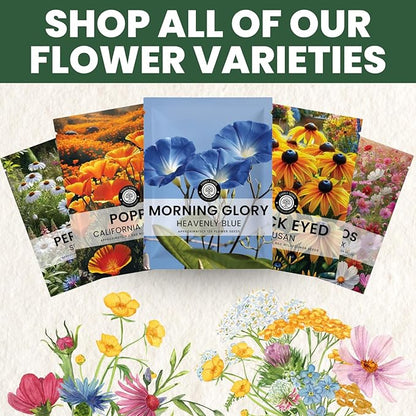 Morning Glory Heavenly Blue – 3,000 Seeds for Planting – 2026 Season – 4 Ounce Pouch