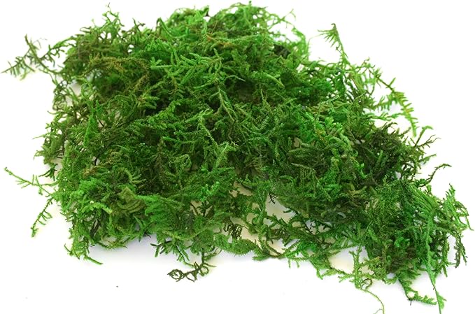 SuperMoss (23806) Mountain Moss – Natural Green Sphagnum Moss for Soil Top Dressing, Potting Mix, Garden Decor, and Craft Projects, 2,588 cu in, Preserved