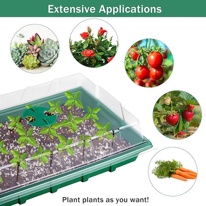 6 Pack Seed Starter Tray Kit with 120 Square Peat Pots for Seedlings, Including Plants Labels, Planting Tools, Growing Trays Plastic Germination Tray Paper Starter Pods for Plant Seeds, Green