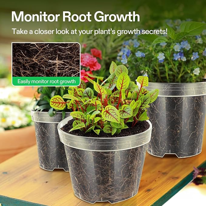 VIVOSUN 40 Packs 3/4/5/6 Inch Clear Nursery Pots with Drainage Holes, Reinforced Plastic Seedling Pots for Plants, Flowers, Cuttings, and Succulents, 40 pcs Plant Labels