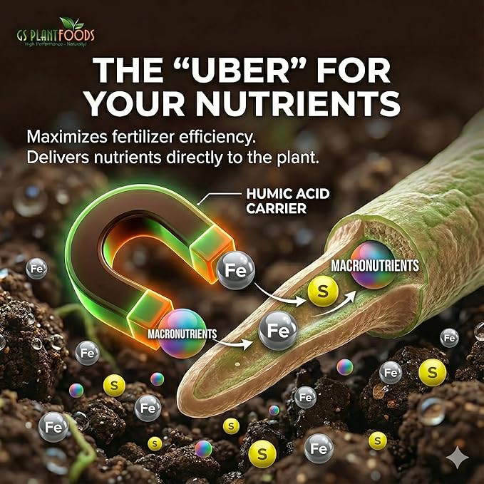 GS Plant Foods Humic Acid Soil Amendment – Leonardite-Derived Liquid Concentrate for Improved Soil Structure & Nutrient Availability – OMRI Listed for Organic Use – 55 Gallons