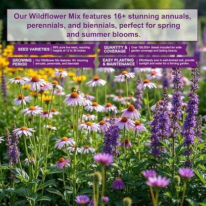 200,000+ Wildflower Seeds [4oz] 16 Variety Perennial Mix - Non-GMO, USA-Sourced Heirloom Seeds for Pollinator Gardens | Attracts Bees/Birds/Butterflies | High Germination Rate for Indoor & Outdoor
