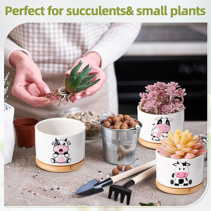 Vesici 3 Pcs Cow Gifts for Women Cow Planter Succulent Pots with Drainage and Bamboo Tray Small Ceramic Succulent Planters Animal Plant Pot for Christmas Office Home Decor Plant Lovers