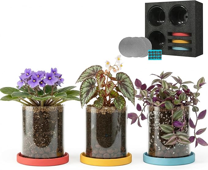 3-Pack 4 Inch Clear Glass Plant Pots with Drainage and Ceramic Trays, Indoor Herb Planters for Home Office, Succulents & Small Plants (Primary 3-Pack)