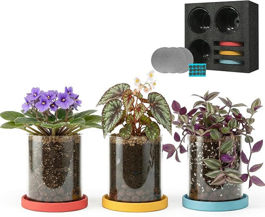 3-Pack 4 Inch Clear Glass Plant Pots with Drainage and Ceramic Trays, Indoor Herb Planters for Home Office, Succulents & Small Plants (Primary 3-Pack)