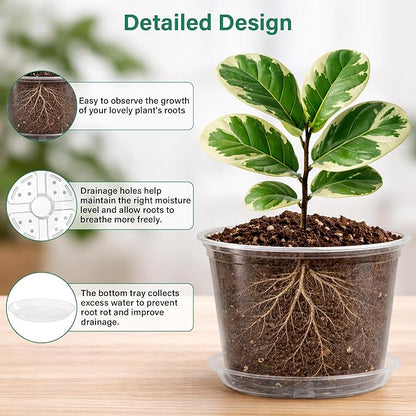 8 Packs 8 Inch Reinforced Large Clear Nursery Pots with Sacuers, Transparent Plastic Plant Pot Seedling Planter with Drainage Holes for Vegetable Propagation, Root Cutting, Seed Starting