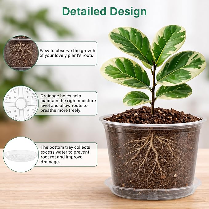 12 Pack 10/8/6/5 Inch Reinforced Large Clear Nursery Pots with Sacuers, Transparent Variety Pack Plastic Plant Pot with Drainage Holes for Vegetable Propagation, Root Cutting, Seed Starting