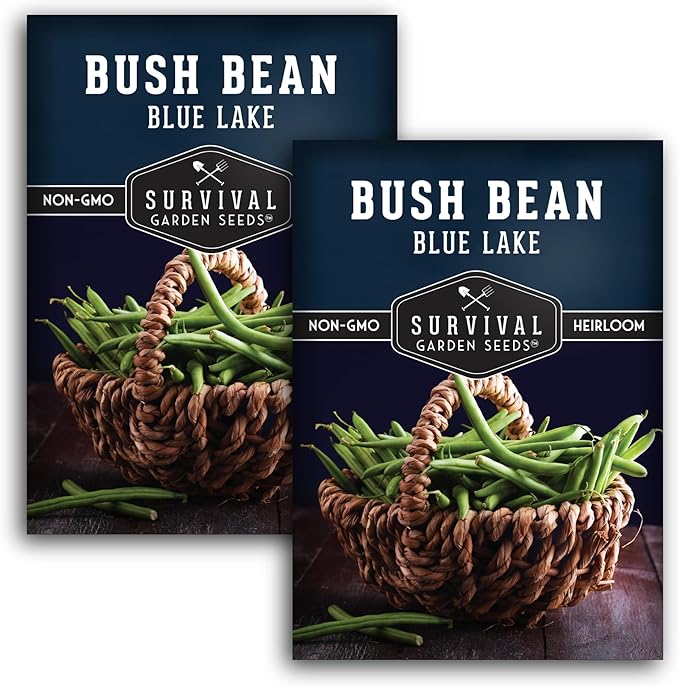 Blue Lake 274 Bush Bean Seeds for Planting - Heirloom Non-GMO Green Beans - High Germination, Stringless 5–6" Pods, Compact Bush Plants, Great Flavor - Survival Garden Seeds (2 Packs)