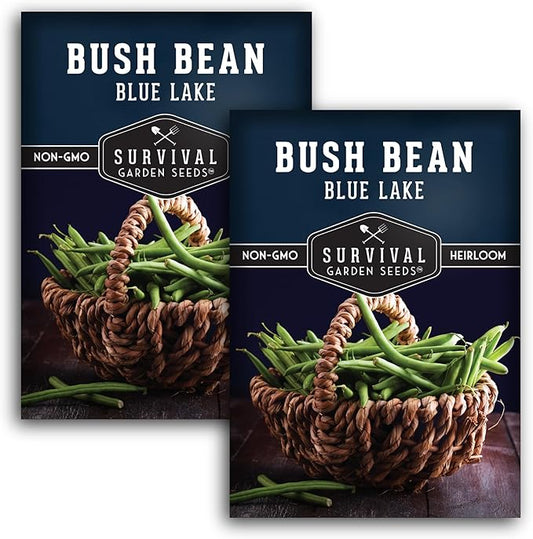 Blue Lake 274 Bush Bean Seeds for Planting - Heirloom Non-GMO Green Beans - High Germination, Stringless 5–6" Pods, Compact Bush Plants, Great Flavor - Survival Garden Seeds (2 Packs)