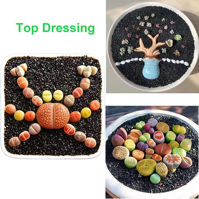 5lb Succulents and Cactus Black Sand, Décor & Additive Tiny Stones,DIY Rocks Gravel for Bonsai, Fairy Gardening, Terrarium, Vases Fillers