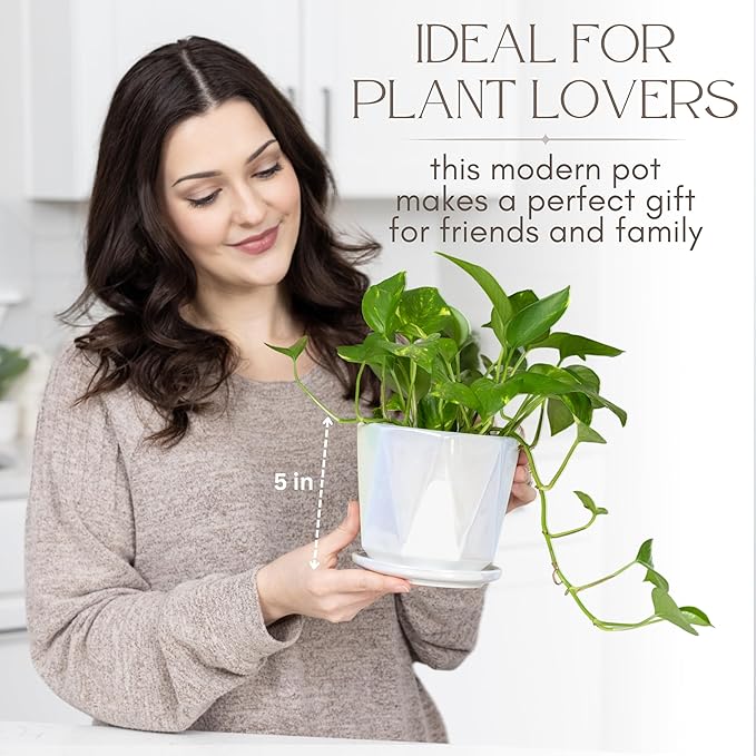 Coco Andrea Ceramic Plant Pots for Indoor Plants with Drainage & Saucers - 5-inch Iridescent White Planters for Houseplants, Succulents & Flowers - Housewarming Gift Set (1-pc, Small)