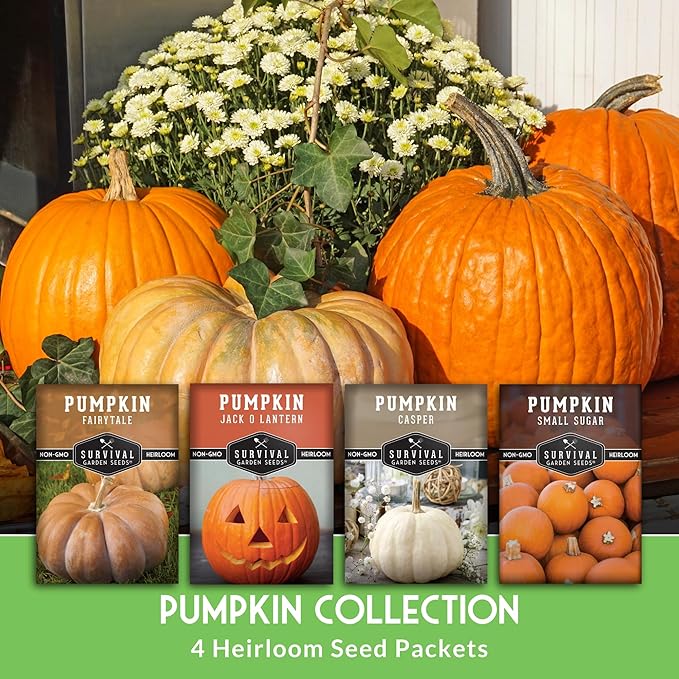 Pumpkin Seeds 4 Variety Pack for Planting – Small Sugar, Jack O’ Lantern, Fairytale & Casper Heirloom Non-GMO Pumpkin Seed Collection | Survival Garden Seeds