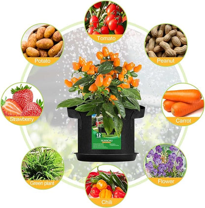 12 Sets 1 Gallon Grow Bags with Plant Saucers, Durable Fabric Plant Pots with Handles, Aeration Drainage Planter Bags for Planter, Reusable Garden Bags Drip Trays Set for Indoor Outdoor