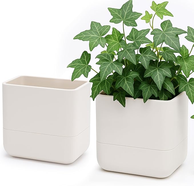 Phoenix Vine 6.5-Inch Wall Mounted Self-Watering Planter Pot for Indoor Houseplants and Herbs | Hanging Planter for Window Sills, Bathroom Walls, Home & Office Décor, Oatmeal, Set of 2, 01-WP-D-2