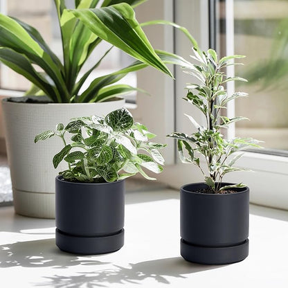 Phoenix Vine 4 Inch Planter Pot with Drainage Hole & Saucer, Deep Water Catch Tray, Straight Cylindrical Round Pot for Plants, Matte Black, Pack of 4, 23-C-R-4