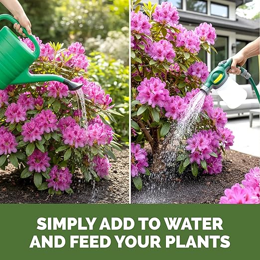 Rhododendron Fertilizer – Liquid Rhododendron Plant Food for Healthy Growth & Vibrant Blooms, 1 Gallon