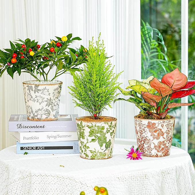 Sungmor Vintage Ceramic Planter Set of 3 - Decorative Indoor & Outdoor Flower Pots with Drainage Holes - Tuscan Décor Pots, 5.5" Ice Crackle Glaze Planters for Home, Kitchen, Patio, and Garden