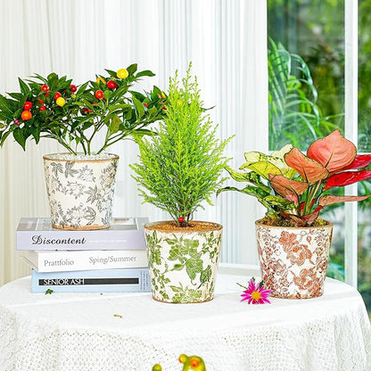 Sungmor Vintage Ceramic Planter Set of 3 - Decorative Indoor & Outdoor Flower Pots with Drainage Holes - Tuscan Décor Pots, 5.5" Ice Crackle Glaze Planters for Home, Kitchen, Patio, and Garden