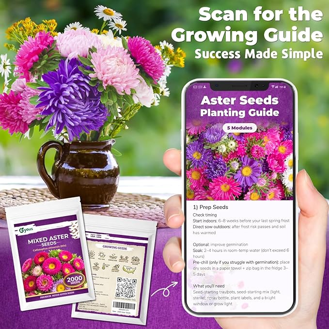 Aster Seeds Mix (5 Colors) – 2,000+ Flower Seeds for Planting, Easy-Grow Annual Blooms for Garden Beds & Pots, Cut Flower & Pollinator Garden