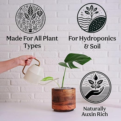 Organic Liquid Kelp & Seaweed Extract (Ecklonia Maxima) Plant Super Food - Indoor Houseplant Fertilizer - Organic Fertilizer for Flowers, Seedlings & Gardens - 8oz Treats 50 Gallons