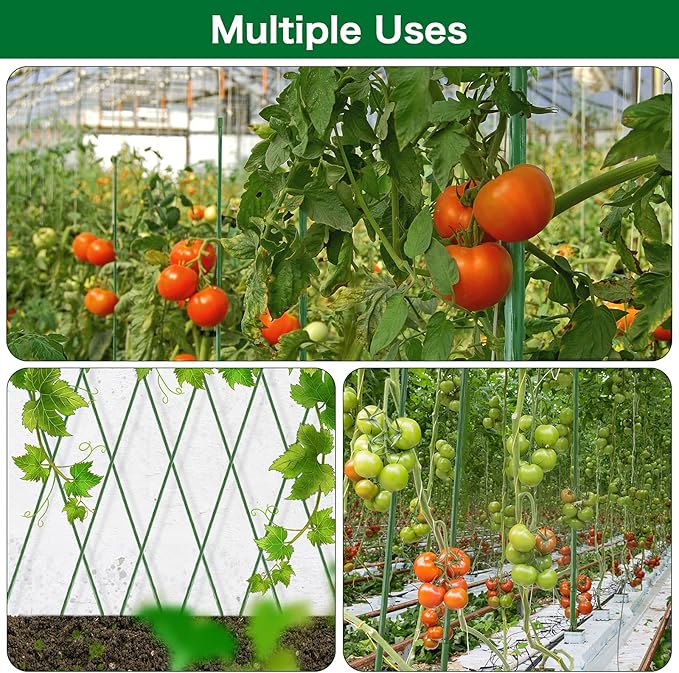 FEED GARDEN Garden Stakes 83 Inch 7ft 25 Pack,Sturdy Plant Metal Sticks Support,Plastic Coated Plant Stakes,Tomato Stakes,Beans,Trees