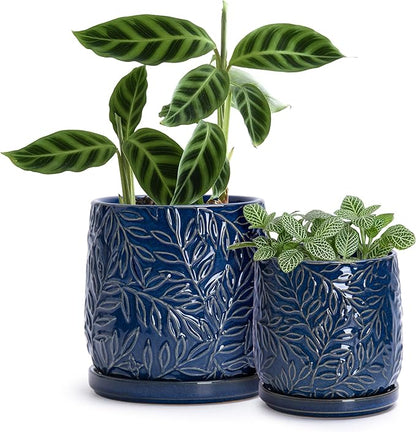 D'vine Dev Embossed Leaves Design 4 Inch & 6 Inch Stoneware Planter Pot with Drainage Hole and Saucer, Blue, 27-B-U-3