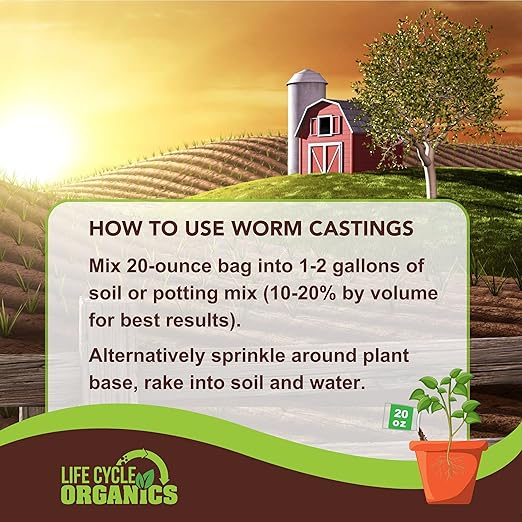 20 oz 100% Organic Worm Castings – Natural Superfood for Plant Growth, Root Development & Growing Healthier, Stronger Crops – Non Toxic & Kind to Soil – Resealable Zip Pouch – Life Cycle Organics