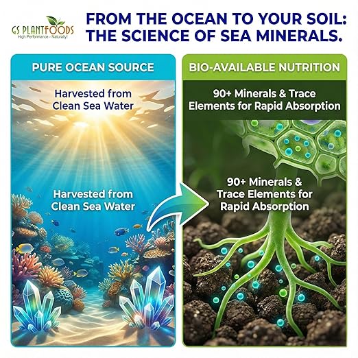 Ocean Magic Sea Minerals, 32 fl. oz.