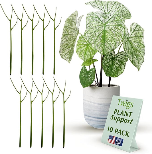 Plant Support Stakes for Indoor & Outdoor Use, Durable Trellis Alternative for Climbing & Potted Plants, Houseplant Stem Holder Structures - Peony (Light Green), 10 Pack, 22" L, Original