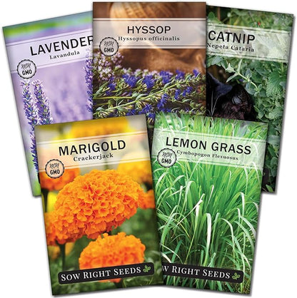 Sow Right Seeds - Insect & Pest Repellent Seed Collection for Planting - Lavender, Catnip, Marigold, Hyssop & Lemon Grass - 5 Packets with Instructions for Home Garden - Natural Pest Solution