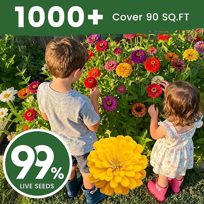 1000+ Zinnia Seeds Flower Seeds for 2026 Planting, 0.35 Oz, 5 Varieties (Pink, Yellow, Orange, White, Purple), 10G Mixed Colors and Large Blooms, Open Pollinated - Bulk (0.35 Ounce Pouch)