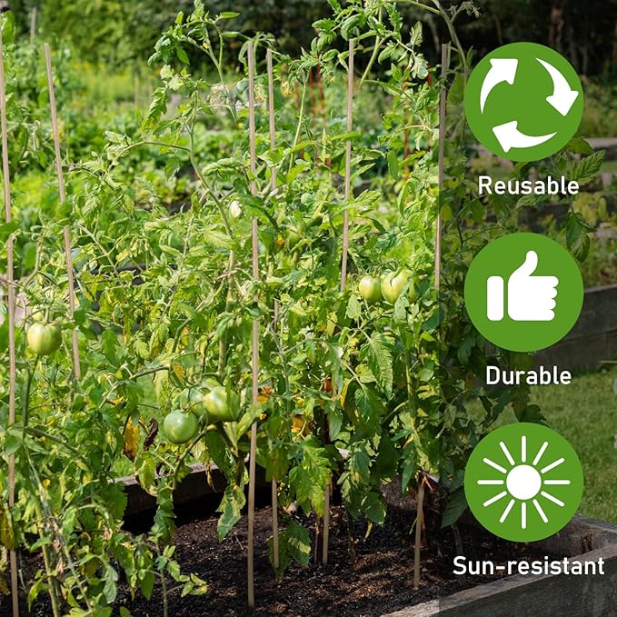 Suzile 60 Bamboo Stakes Bulk, Natural Plant Stakes Bamboo Garden Supports Climbing for Tomatoes, Beans, Vegetable and Potted Plants (48 Inch)