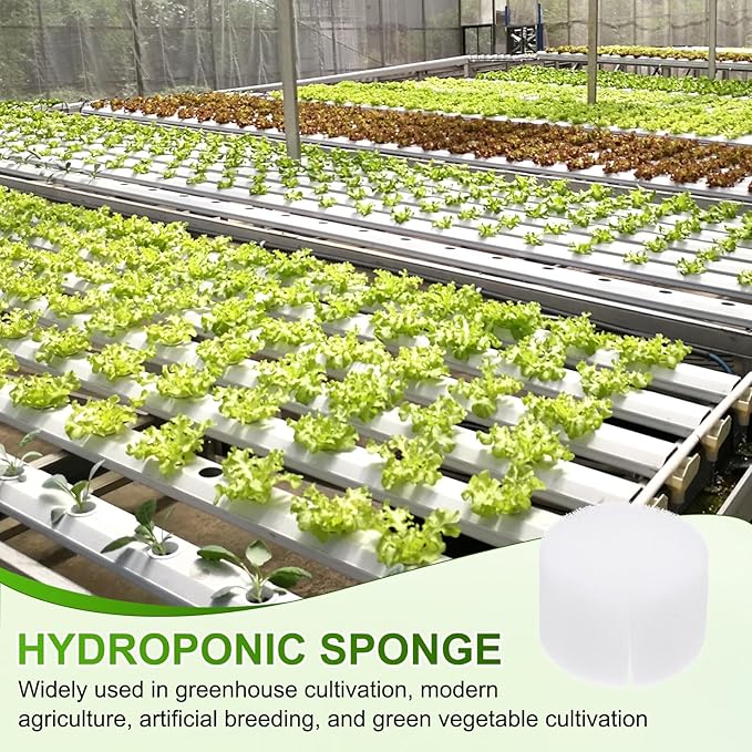 50-Pack Hydroponics Sponges, 1.57 Inch Growing Media Cylindrical Sponges for Planting Gardening Tool/Grow Seedlings/Home Vegetable Flower, Soilless Cultivation Seedling [White]