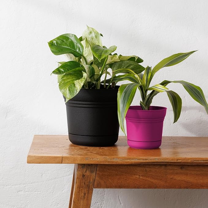 Bloem Saturn 7" Black Round Resin Planter Pot with Snap-in Saucer for Indoor and Outdoor Gardening