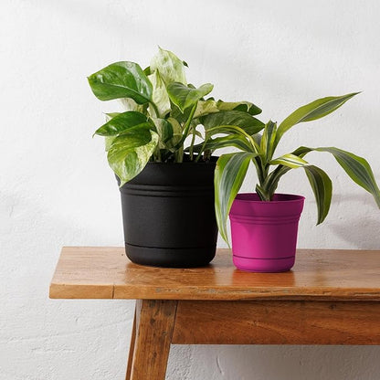 Bloem Saturn 5" Fuchsia Round Resin Planter Pot with Snap-in Saucer for Indoor and Outdoor Gardening
