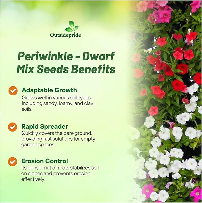 Outsidepride Mix Periwinkle Seeds for Planting – 2000 Pcs Annual, Fast-Blooming, Heat & Drought Tolerant Vinca Flower Seeds with Vibrant Colors Ideal for Gardens, Beds, Borders & Containers