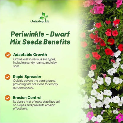 Outsidepride Mix Periwinkle Seeds for Planting – 4000 Pcs Annual, Fast-Blooming, Heat & Drought Tolerant Vinca Flower Seeds with Vibrant Colors Ideal for Gardens, Beds, Borders & Containers